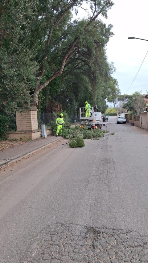 I lavori alla Sughereta