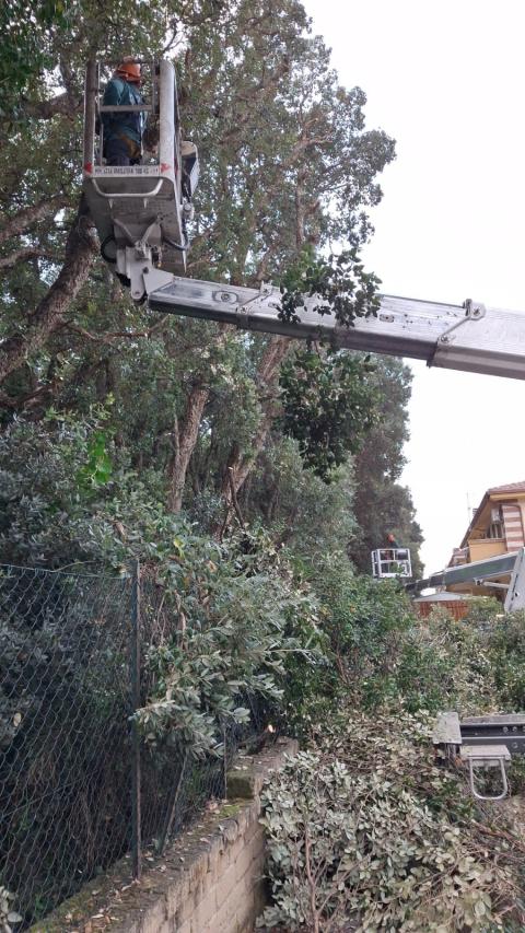 I lavori alla Sughereta