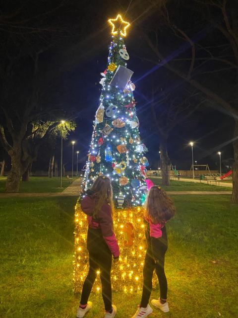 L'albero a Piazza Roma