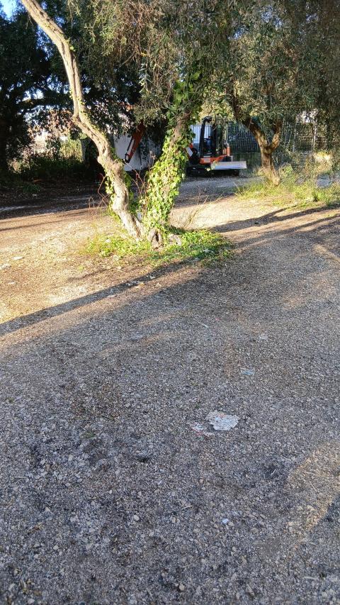 La bonifica a Corso Italia