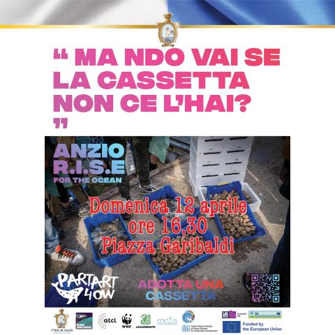 Adotta una cassetta