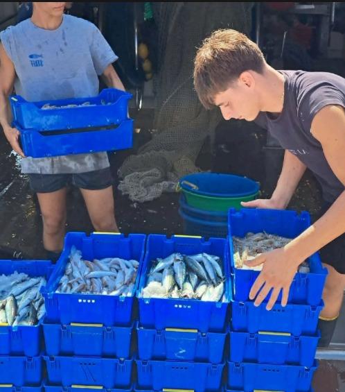 Cassette di pesce riutilizzabili