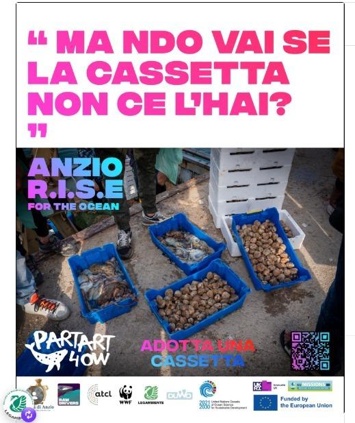 ANZIO RISE